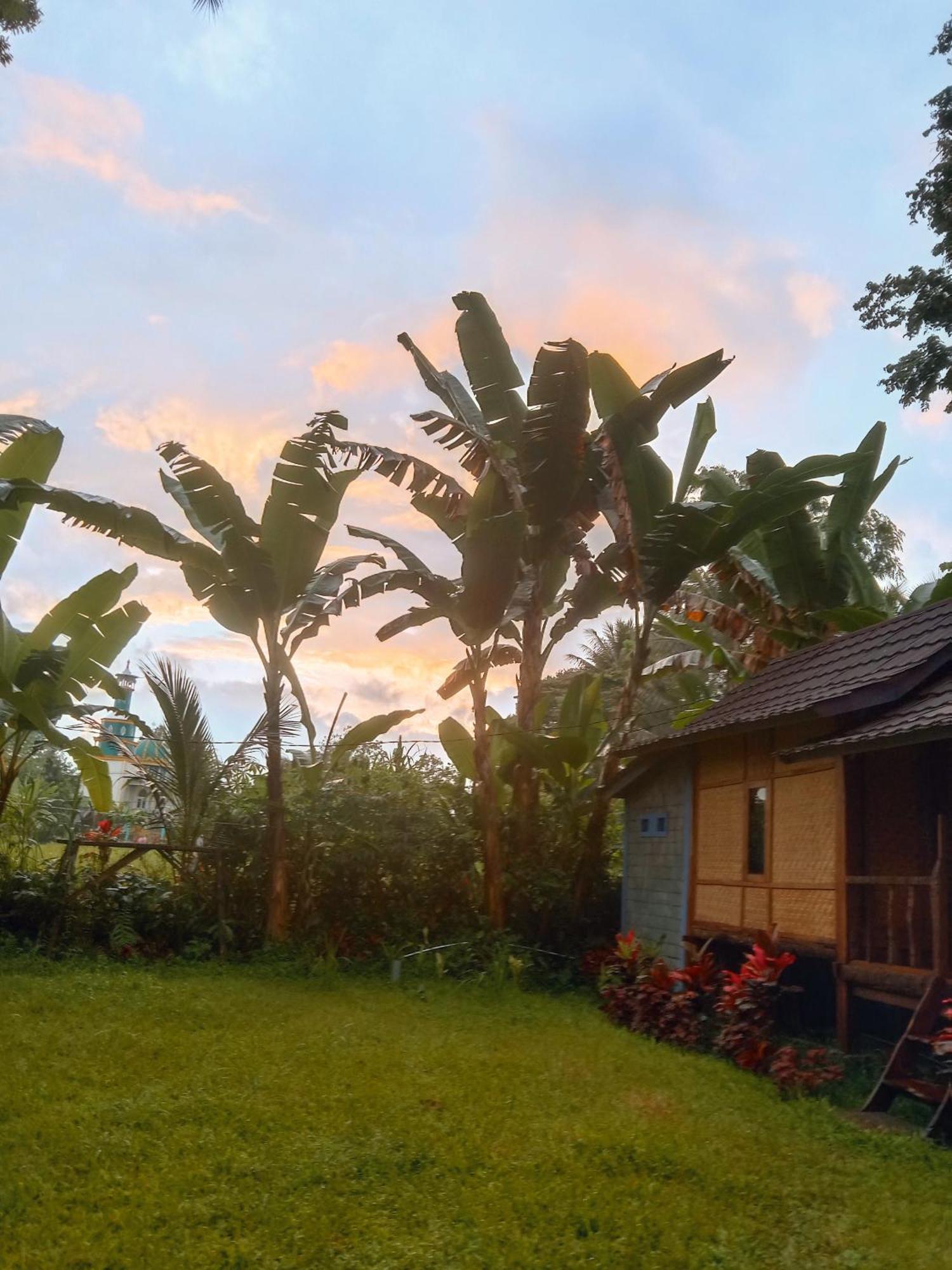 Banana Bungalows Tetebatu Quarto foto