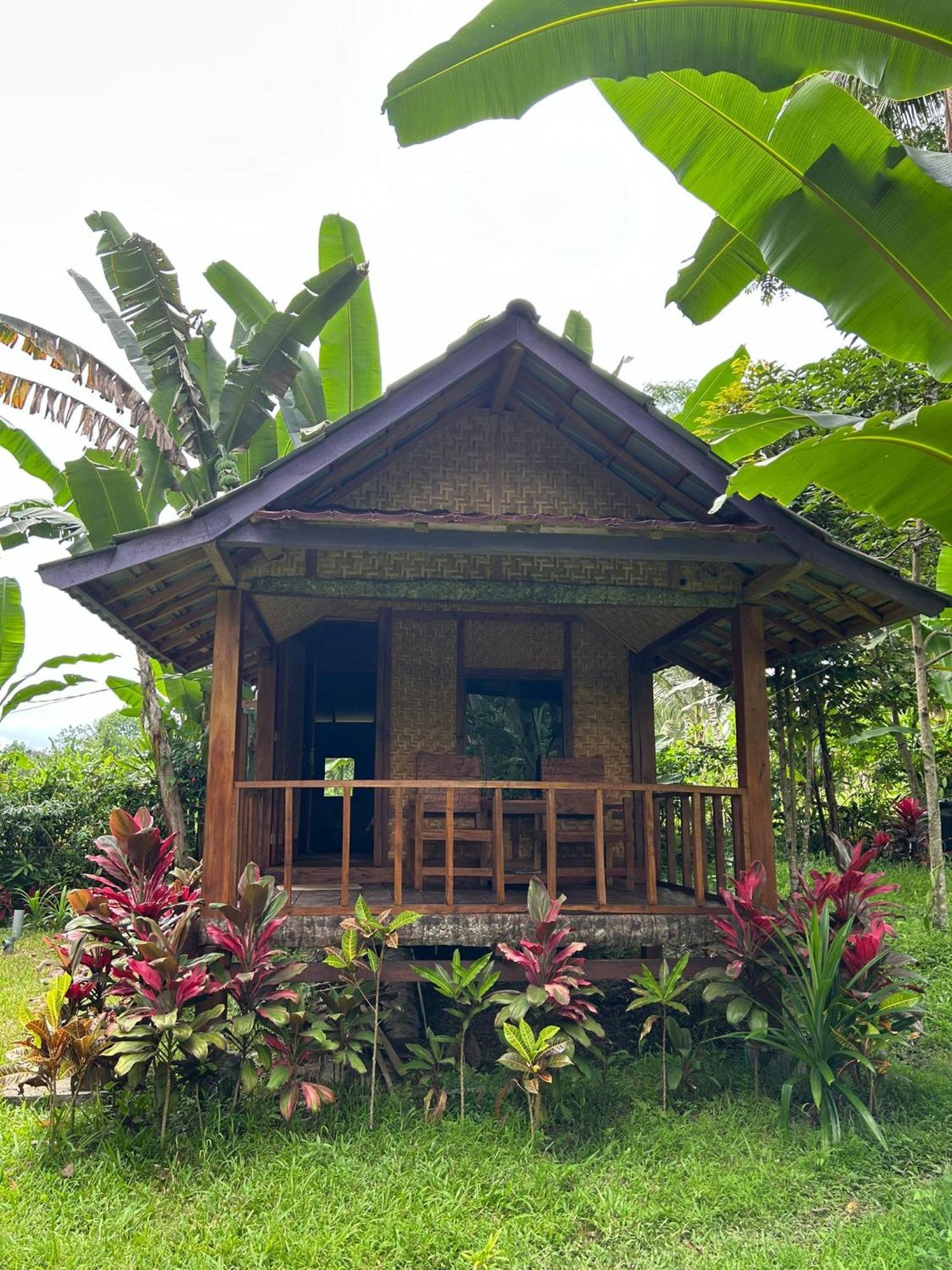 Banana Bungalows Tetebatu Quarto foto