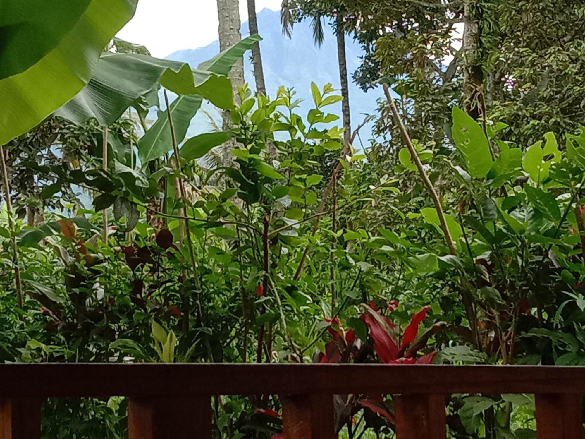 Banana Bungalows Tetebatu Quarto foto